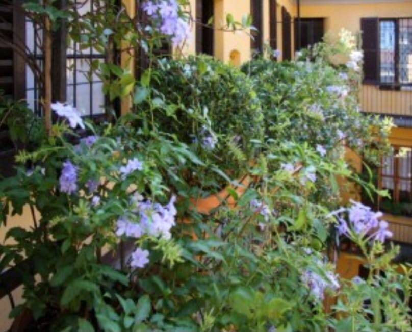 appartamento in vendita a Milano in zona Centro Direzionale