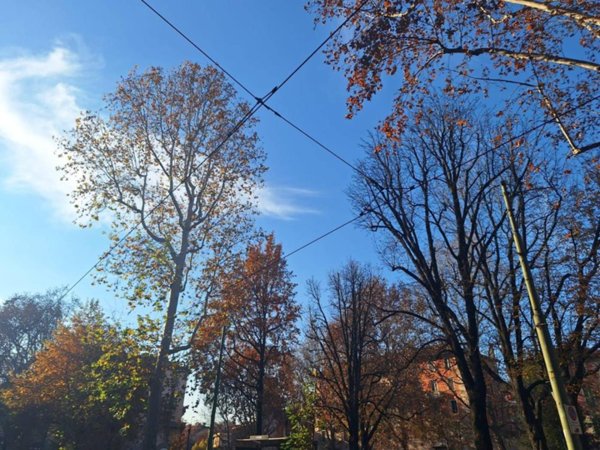 appartamento in vendita a Milano in zona Ghisolfa