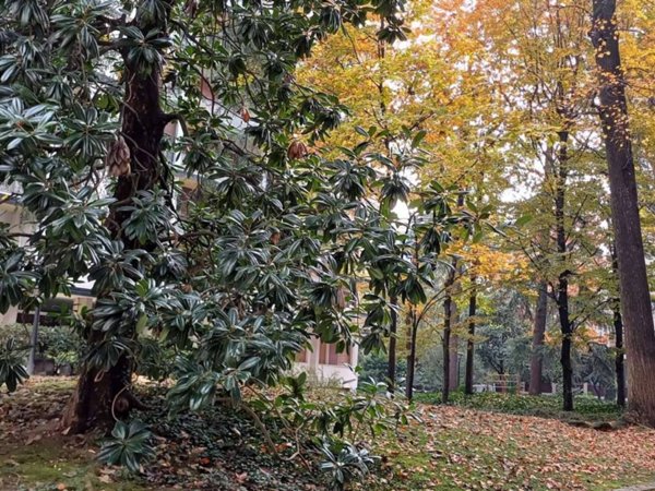ufficio in vendita a Milano in zona Solari