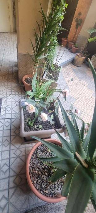 appartamento in vendita a Milano in zona Isola