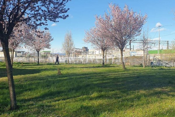 appartamento in vendita a Milano in zona Ghisolfa