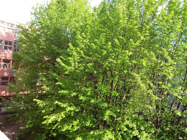 appartamento in vendita a Milano in zona Corvetto