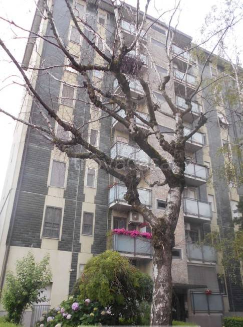 appartamento in vendita a Milano in zona Gallaratese