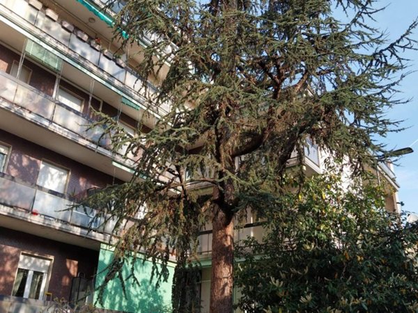 appartamento in vendita a Milano in zona Baggio