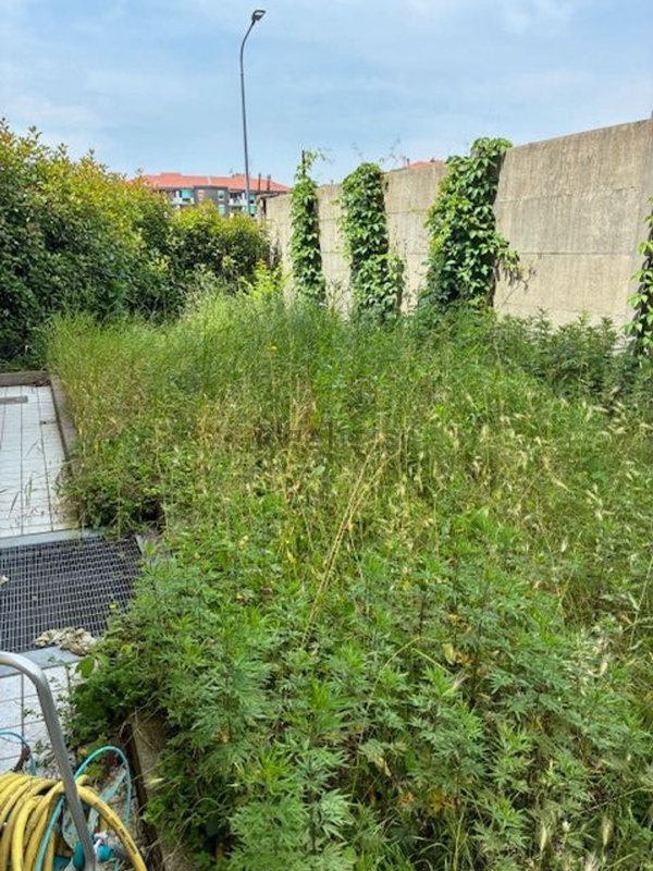 appartamento in vendita a Milano in zona Quarto Oggiaro
