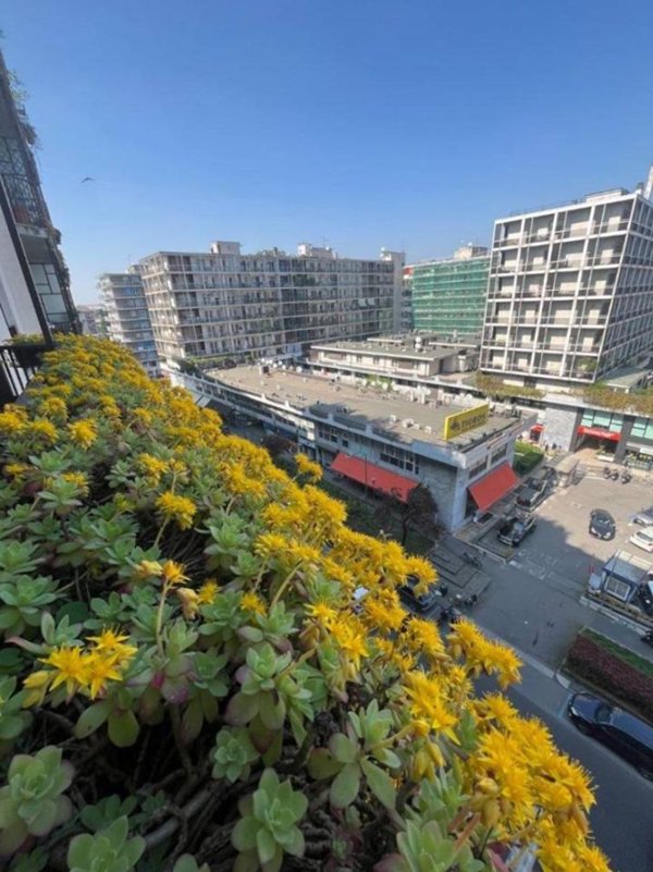 appartamento in vendita a Milano in zona Maggiolina