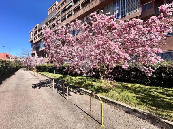 appartamento in vendita a Milano in zona Gallaratese