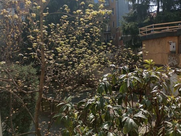 appartamento in vendita a Milano in zona Città Studi