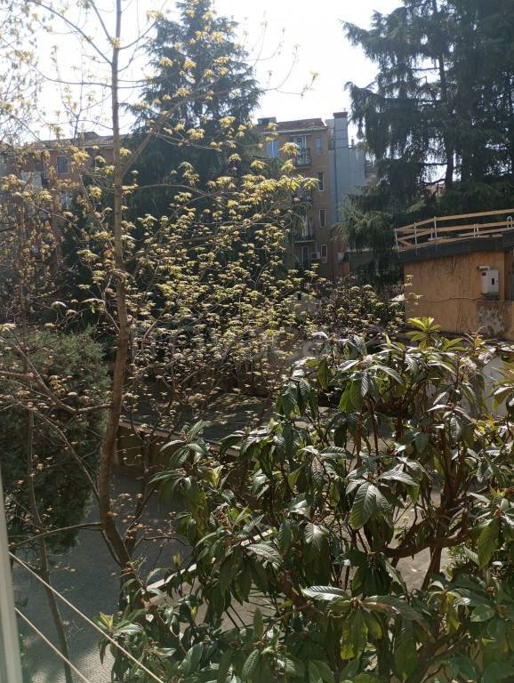 appartamento in vendita a Milano in zona Città Studi