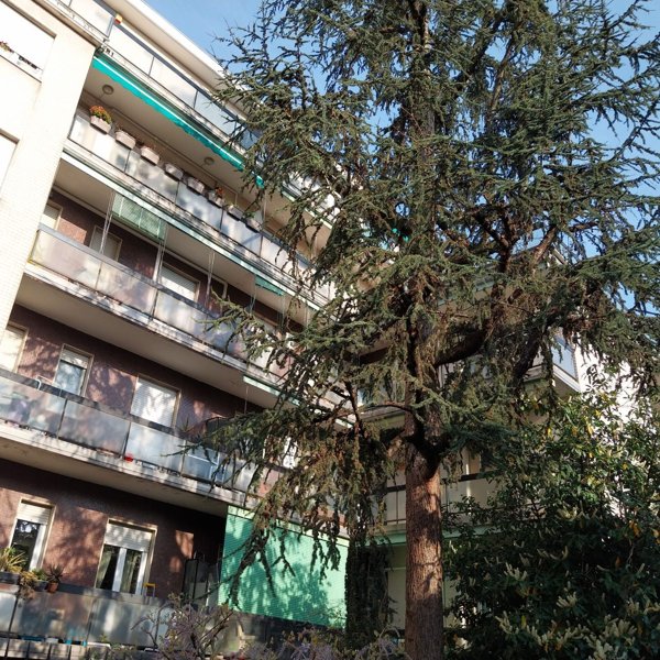 appartamento in vendita a Milano in zona Baggio