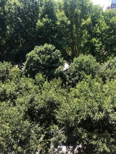 appartamento in vendita a Milano in zona Solari