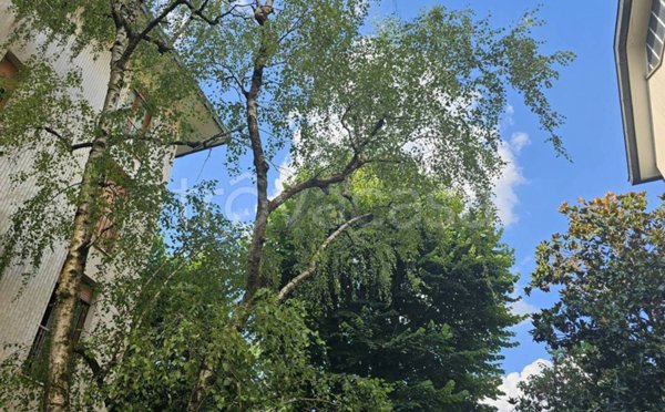 appartamento in vendita a Milano in zona Bovisa