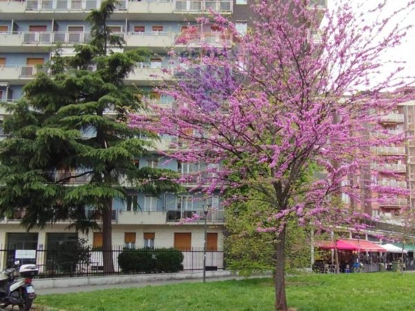 appartamento in vendita a Milano in zona San Siro