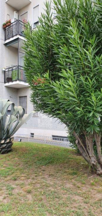 appartamento in vendita a Milano in zona Corvetto