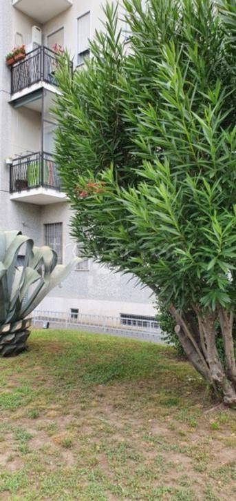 appartamento in vendita a Milano in zona Corvetto