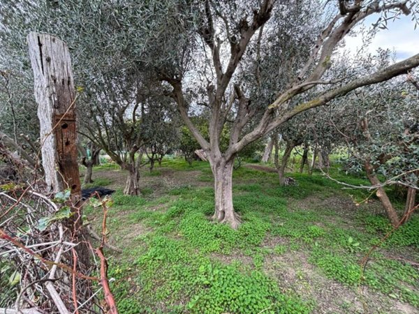 terreno agricolo in vendita a Milano