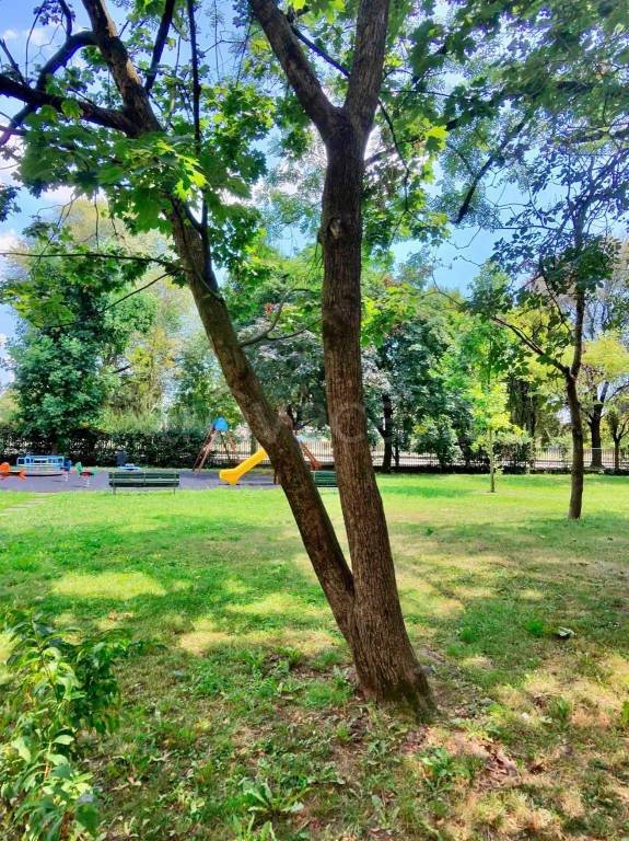 appartamento in vendita a Milano in zona Gallaratese