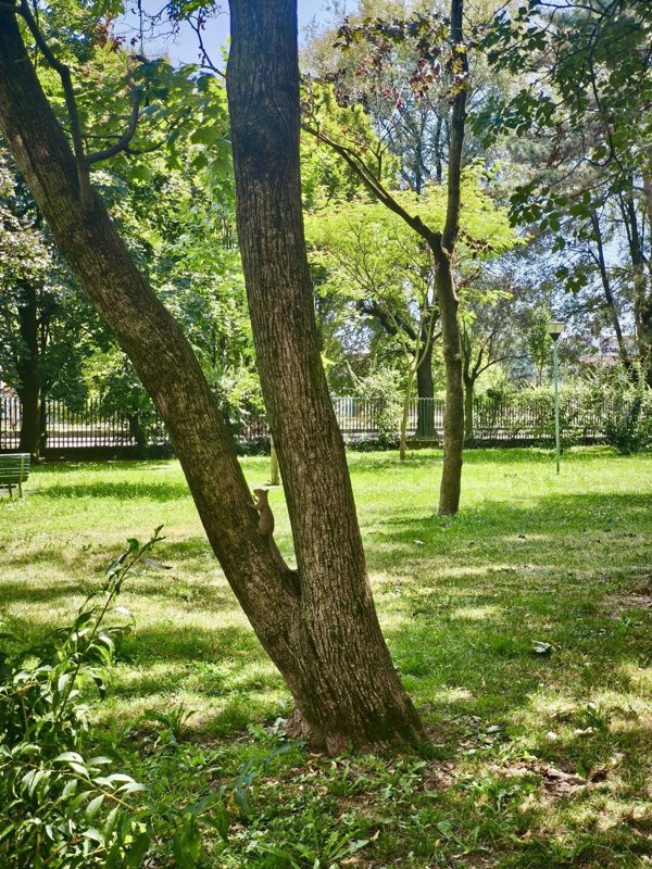 appartamento in vendita a Milano in zona Gallaratese