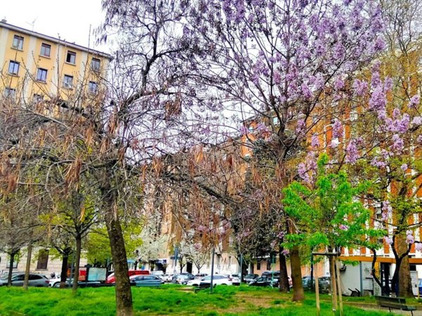 appartamento in vendita a Milano in zona Isola