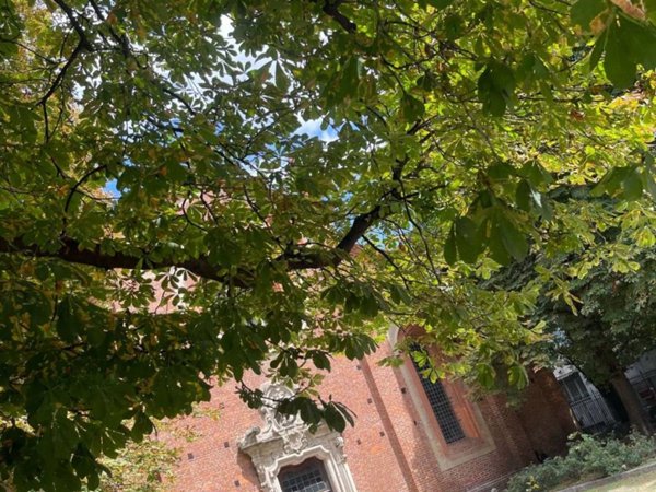 appartamento in vendita a Milano in zona Guastalla