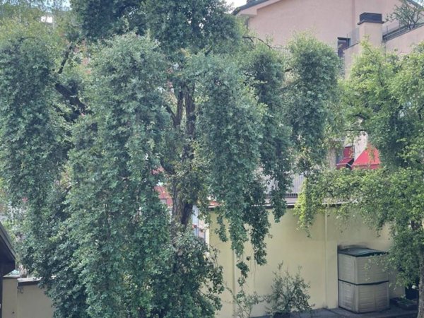 ufficio in vendita a Milano in zona Centro Storico
