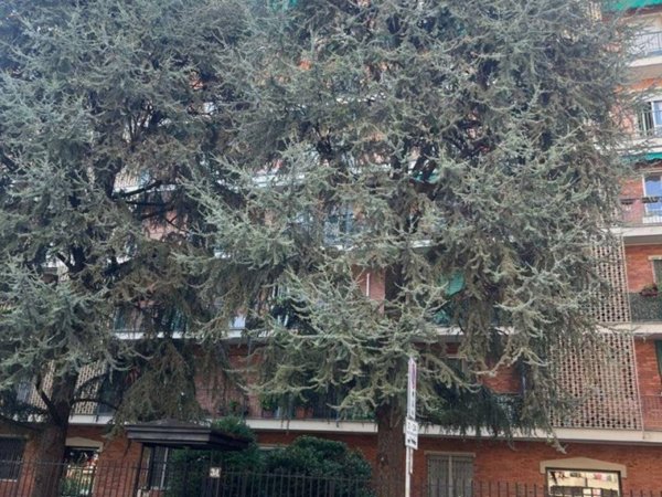appartamento in vendita a Milano in zona Barona