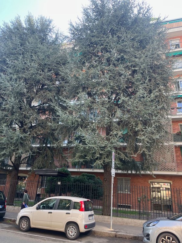appartamento in vendita a Milano in zona Famagosta