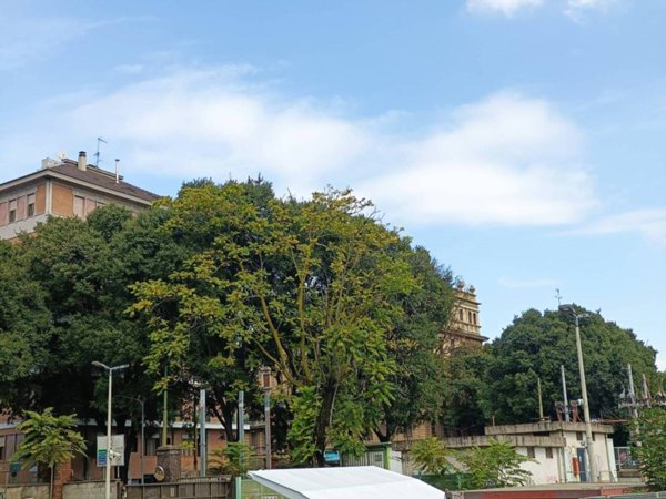 appartamento in vendita a Milano in zona Sempione