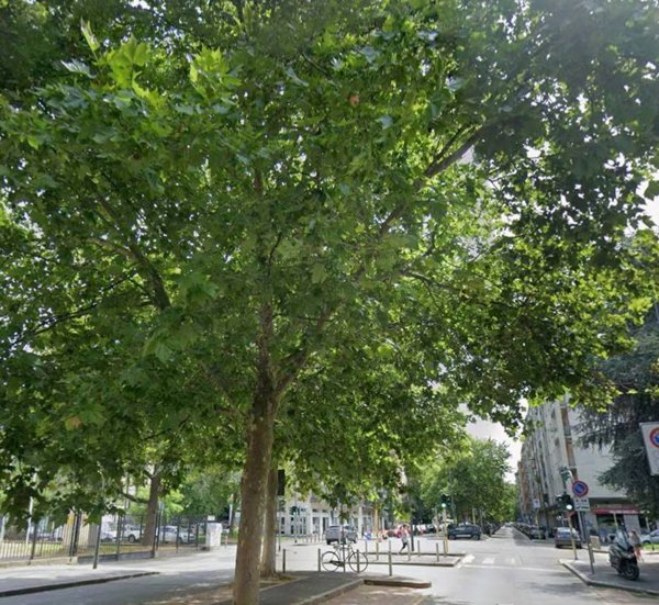 appartamento in vendita a Milano in zona San Siro