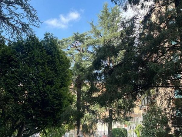 appartamento in vendita a Milano in zona Città Studi