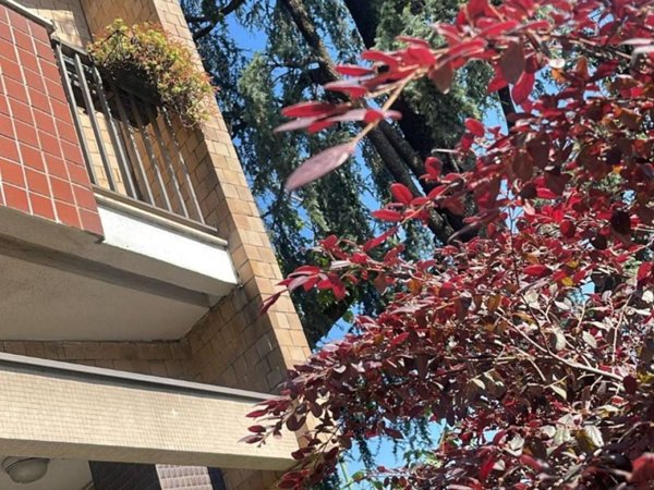appartamento in vendita a Milano in zona Città Studi