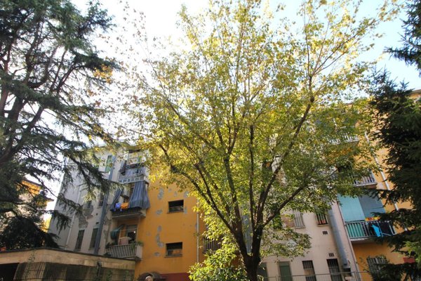 appartamento in vendita a Milano in zona San Siro