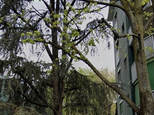 appartamento in vendita a Milano in zona Forlanini