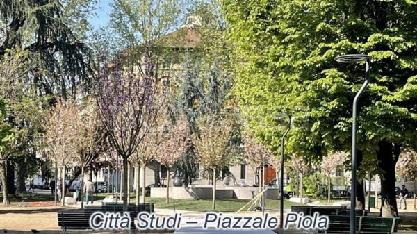 appartamento in vendita a Milano in zona Città Studi