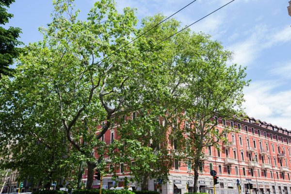 appartamento in vendita a Milano in zona Porta Romana