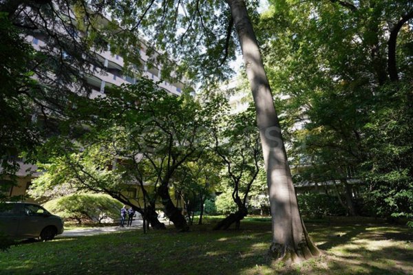 ufficio in vendita a Milano