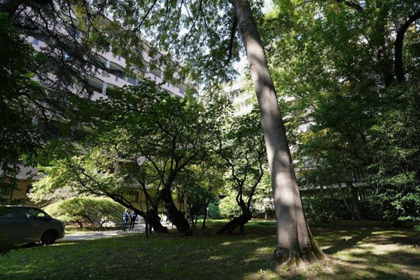 ufficio in vendita a Milano in zona Guastalla