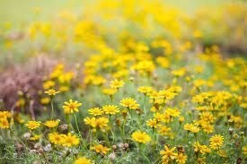 terreno agricolo in vendita a Milano in zona Centro Storico