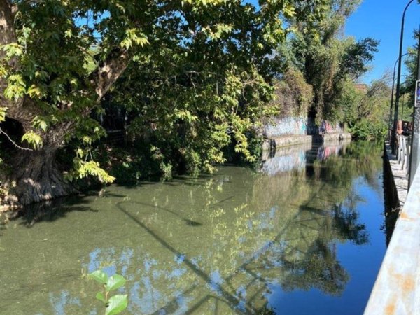 appartamento in vendita a Milano in zona Turro