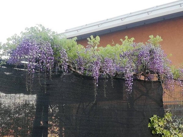 appartamento in vendita a Milano in zona Il Portello