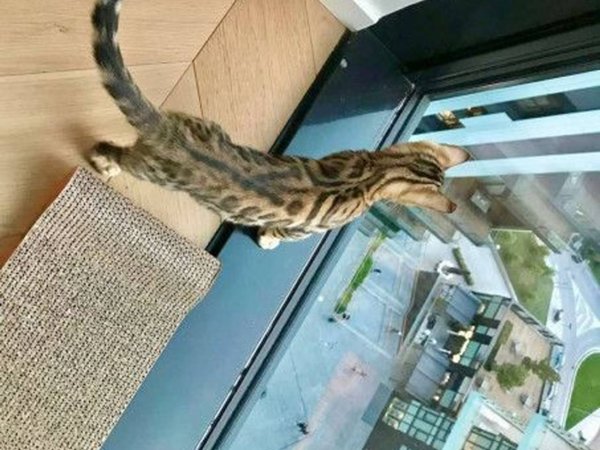 appartamento in vendita a Milano in zona Porta Garibaldi