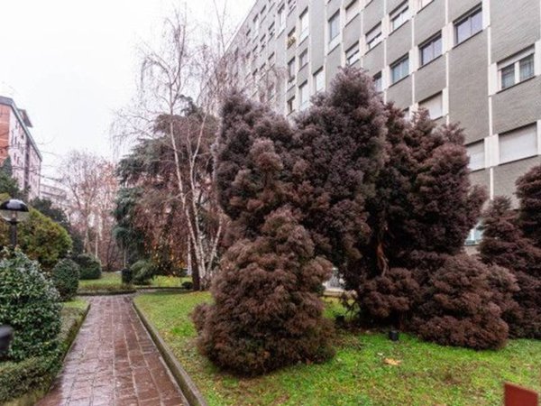 appartamento in vendita a Milano in zona Centro Storico