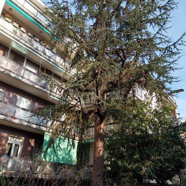 appartamento in vendita a Milano in zona Baggio