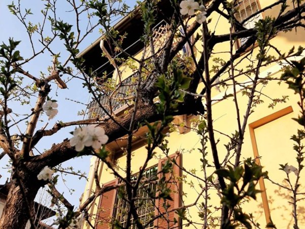 casa indipendente in vendita a Milano