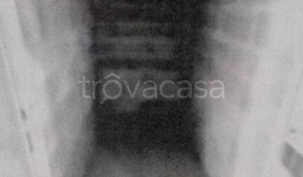 locale commerciale in vendita a Milano in zona Dergano