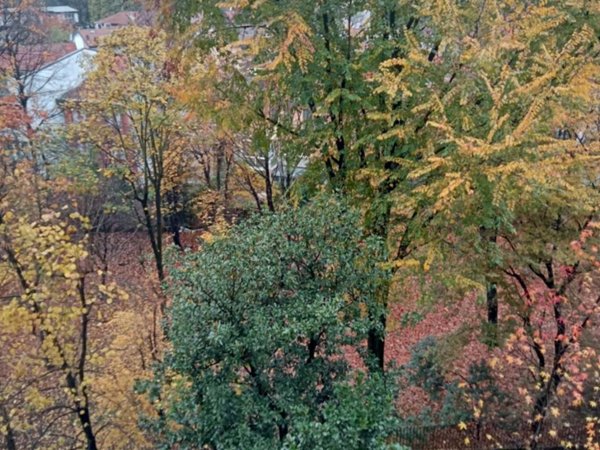 appartamento in vendita a Milano in zona San Siro