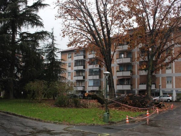 appartamento in vendita a Milano in zona Gallaratese