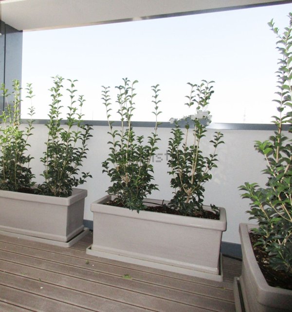 appartamento in vendita a Milano in zona San Vittore