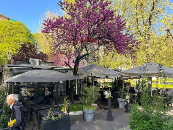 negozio in vendita a Milano in zona Maggiolina