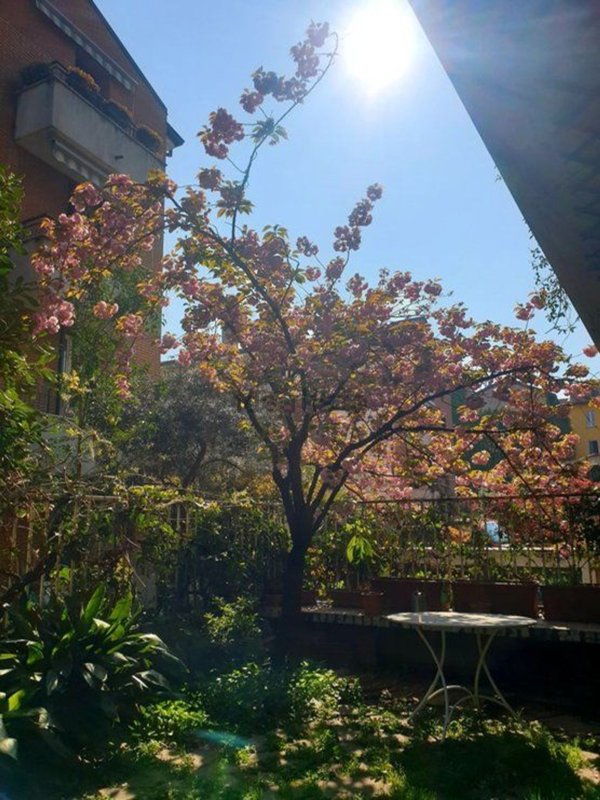 appartamento in vendita a Milano in zona Porta Romana